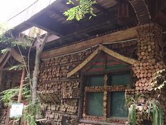 -呀路古热带植物园