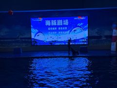 -锦艺城海洋馆