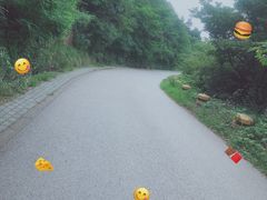 -惠山国家森林公园