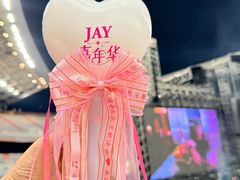 -济南奥林匹克体育中心体育场