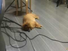 -A+摄影