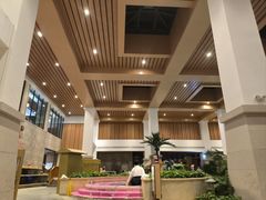 -齐河孔雀王温泉酒店·金孔雀自助百汇