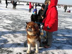 -人民防洪胜利纪念塔