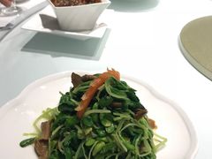 -张生记(丁香国际店)