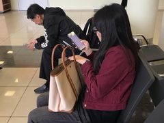 -谢列梅捷沃国际机场