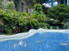 -清泉湾生态旅游度假区