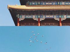 -故宫博物院(故宫)