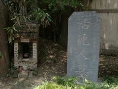 -活死人墓