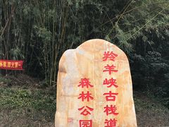-羚羊峡古栈道森林公园