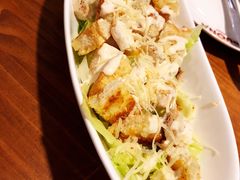 -百好乐宠物友好餐厅(朝外大街店)