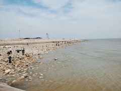 -东疆建设开发纪念公园