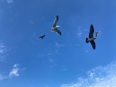 -海驴岛(荣成市)