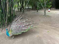 -宁波野生动物园