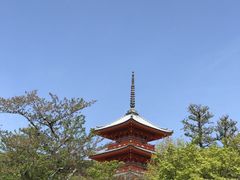 -有栖山 清光院 清水寺