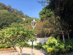 -金鸡山公园