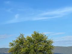 -六阅·福十 FORTEN 海景咖啡西餐厅(双廊古镇店)