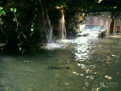 -绍兴梦享海洋公园