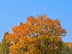 -北京金海湖景区