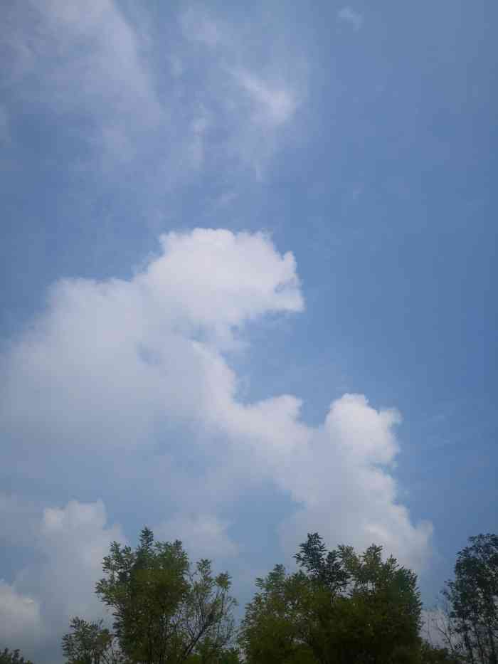 石岛山庄火锅城-"经常来,品种不是太多,但质量有保证,海鲜.