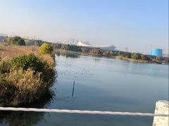 -贡湖湾湿地公园