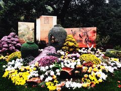 -杭州植物园