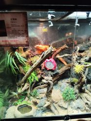 -未来动物城主题公园(正弘城店)