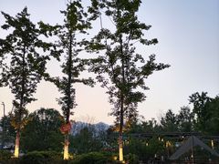 -金海湾滨江公园