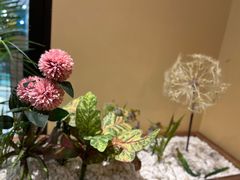 -百特喜·意大利餐厅(八佰伴镇江店)