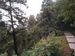 -敬亭山风景名胜区