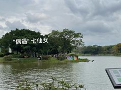 -东莞植物园