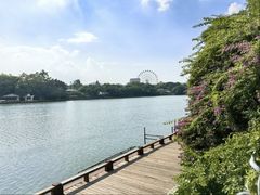 -福州西湖大酒店·怡湖咖啡厅