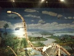 -自贡恐龙博物馆