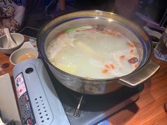 鲜人参锅底-千岛蚝高压锅生蚝·人参火锅(白云万达店)