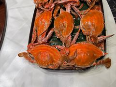 -樱之盛宴·蟹料理海鲜自助(前进大街店)