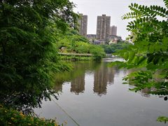-重庆彩云湖湿地公园