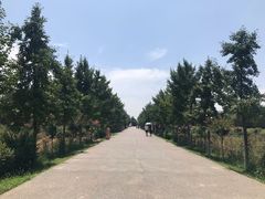 -汉景帝阳陵博物院