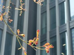 -老香齋(五角场店)