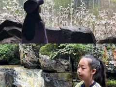 -茅兰沟国家森林公园