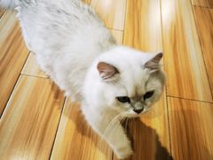 -听TA说宠咖·宠物生活馆(天韵水岸店)