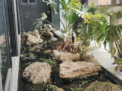 -见康道莱•足浴按摩•艾灸•SPA(友谊店)