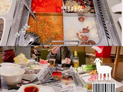 -海底捞火锅(青悦城店)