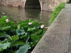 -西湖游船