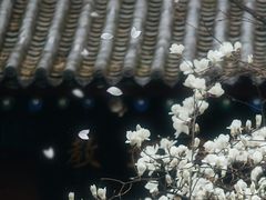 -万寿八仙宫