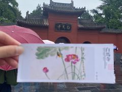 -洛阳白马寺