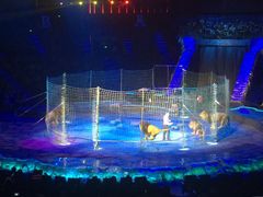 -珠海横琴长隆《卡卡虎奇遇记》