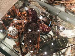 -万龙洲海鲜(大兴绿地缤纷城店)