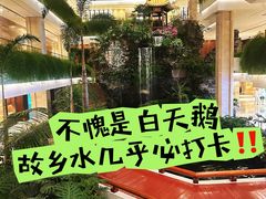 -广州白天鹅宾馆
