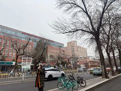 -张川人•甘肃天水麻辣烫(北医三院店)