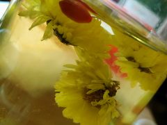 养生枸杞菊花茶-探窝·竹笙椰子鸡(杨箕店)