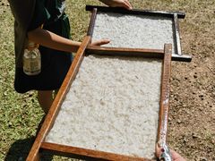 -大象粑粑造纸公园